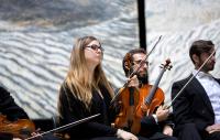 A photo of two violinists looking into the distance