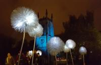 Photo of giant dandelion lights