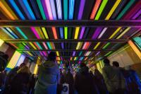 Crowed looking at coloured lights on a tunnel