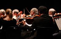 A photo of violinists playing in an orchestra