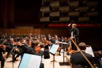 The Royal Philharmonic Orchestra