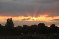 The sun rising over marshland