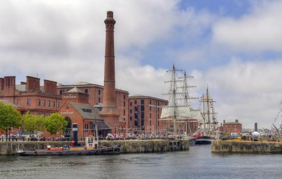 A crowd of people and tall ships at a dock