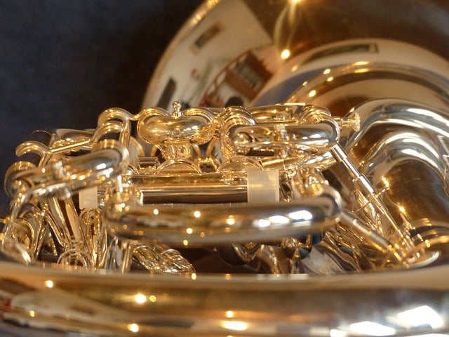 euphonium-93878_640