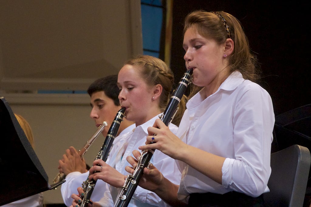 Pressure mounts on councils to cut music education funding