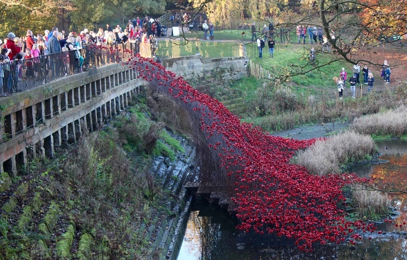 Photo of poppies installation at Yorkshire Sculpture Park