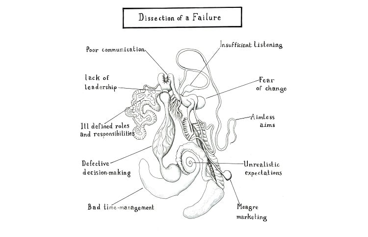 An anotomical drawing representing the failure of a project