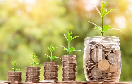 Photo of jars with coins and plants