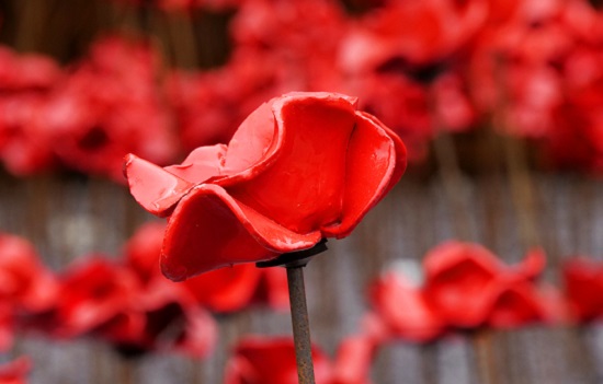 A photo of a ceramic poppy