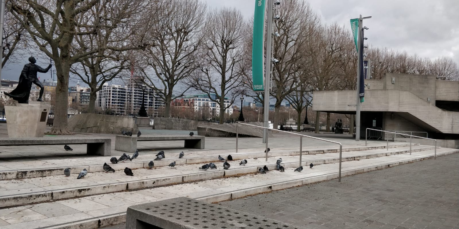 Pigeons walking around the South Bank