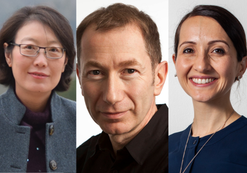 British Library reappoints board members