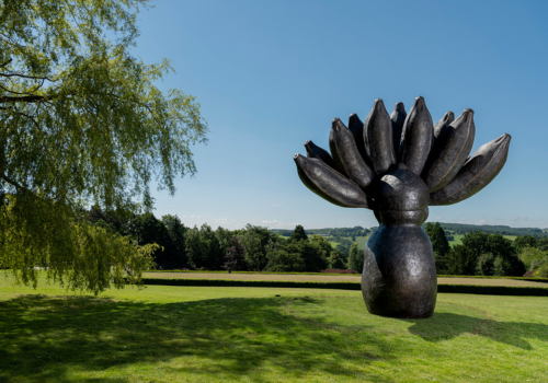 Refreshed board appointed at Yorkshire Sculpture Park 