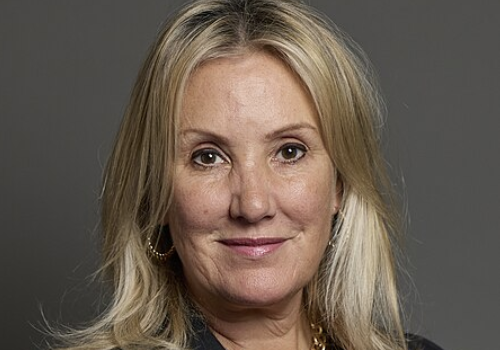 Dinenage re-elected CMS Committee Chair